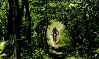 Escursioni in bici Piemonte